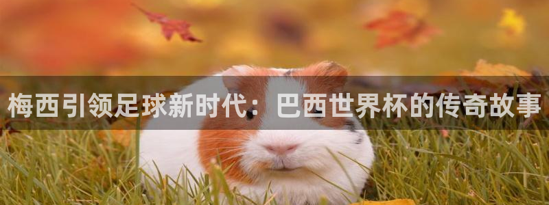世界杯直播时间：梅西引领足球新时代：巴西世界杯的传奇故事