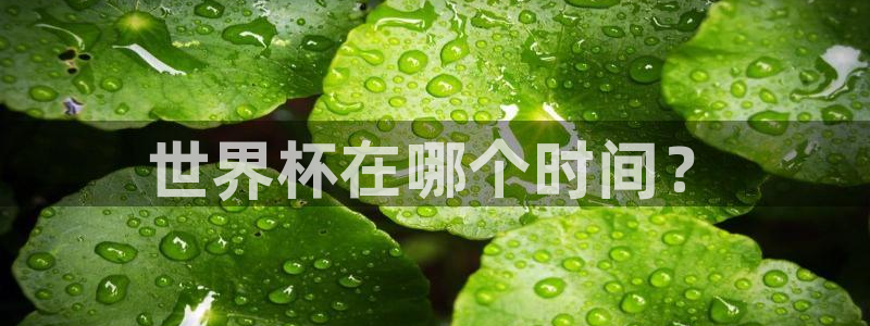 今天所有足球赛程表：世界杯在哪个时间？