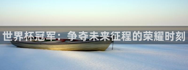 世界杯预选赛欧洲区赛程：世界杯冠军：争夺未来征程的荣耀时刻