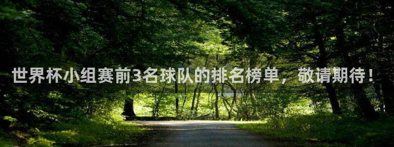 世界杯球队：世界杯小组赛前3名球队的排名榜单，敬请期待！