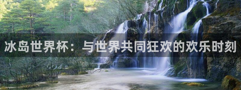 2006年世界杯：冰岛世界杯：与世界共同狂欢的欢乐时刻