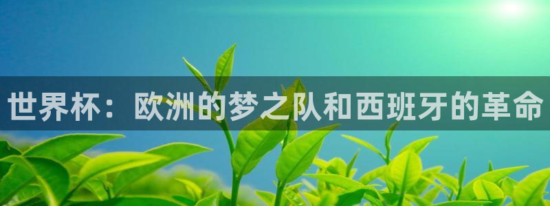 世界杯2026预选赛:世界杯:欧洲的梦之队和西班牙的革命