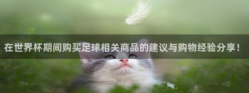世界杯球队排名：在世界杯期间购买足球相关商品的建议与购物经验分享！
