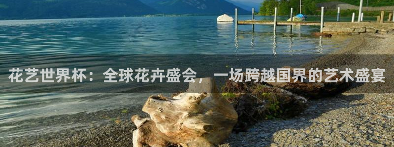 2026世界杯足球赛程时间表：花艺世界杯：全球花卉盛会，一场跨越国界的艺术盛宴