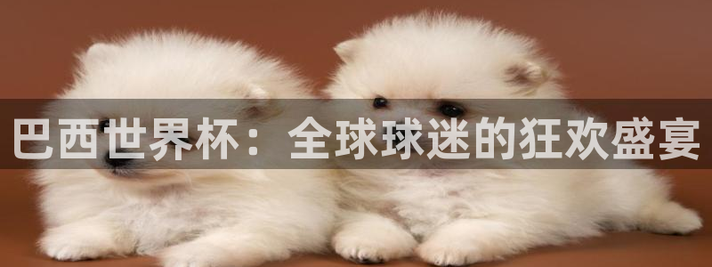 世界杯预选赛欧洲：巴西世界杯：全球球迷的狂欢盛宴
