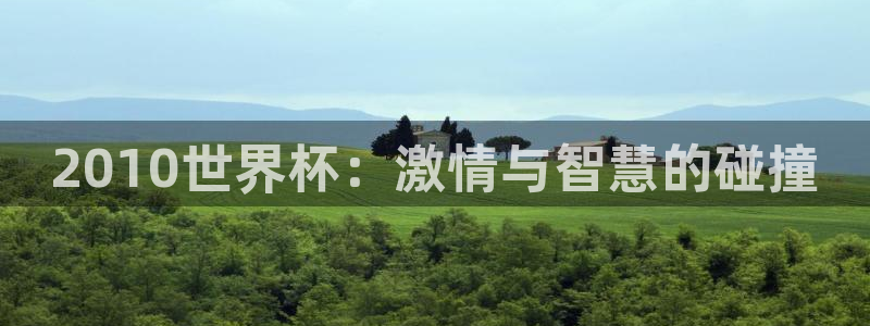 2026 世界杯：2010世界杯：激情与智慧的碰撞