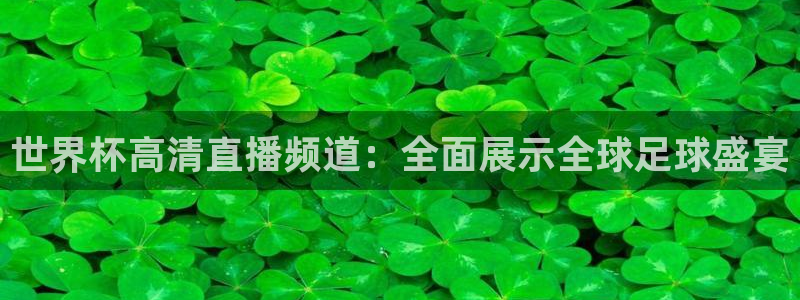 2026世界杯赛程：世界杯高清直播频道：全面展示全球足球盛宴