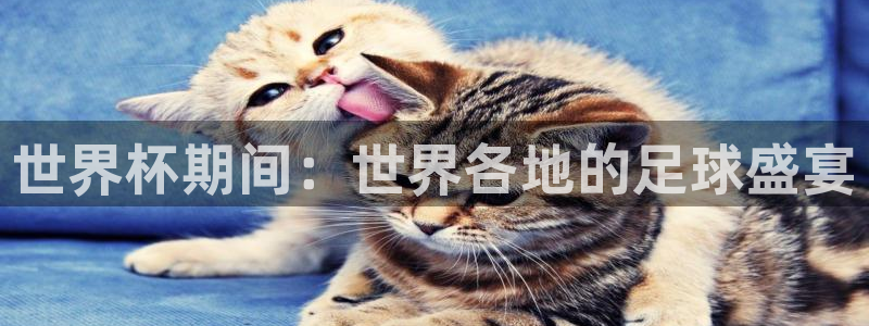 世界杯足球赛2026赛程时间：世界杯期间：世界各地的足球盛宴