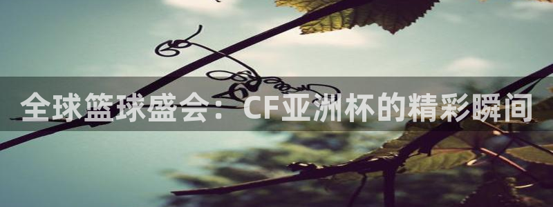 世界杯直播时间：全球篮球盛会：CF亚洲杯的精彩瞬间